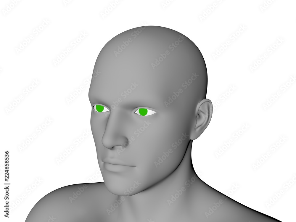 Man head. Isolated on white background. 3D rendering illustration Man head. Isolated on white background. 3D rendering illustration