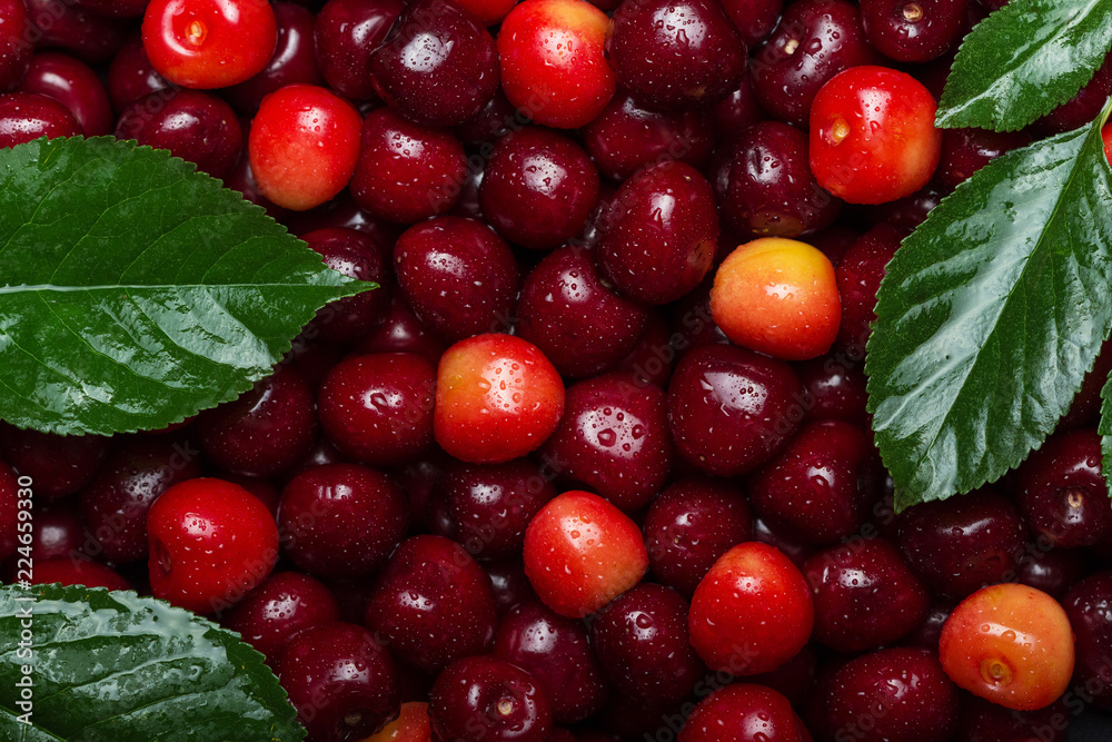Beautiful bright background of fresh berries of sweet cherry and leaves. View from above Beautiful bright background of fresh berries of sweet cherry and leaves. View from above