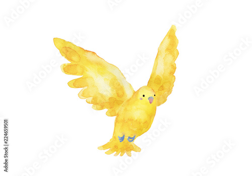 黄色の小鳥 水彩イラスト Stock Illustration Adobe Stock 黄色の小鳥 水彩イラスト Stock Illustration Adobe Stock