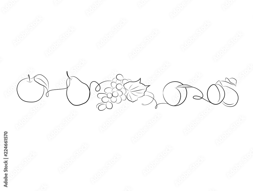 fruit. Background for your design works. isolated fruit. Vector illustration. fruit. Background for your design works. isolated fruit. Vector illustration.