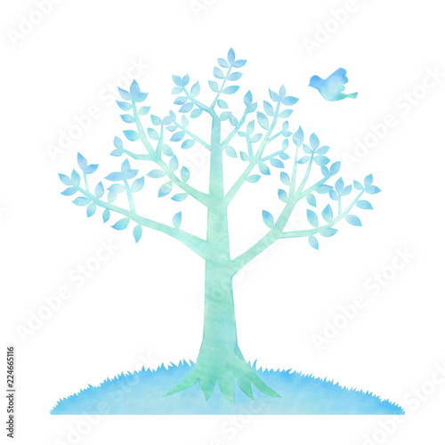 Photography 青い鳥と木のイラスト