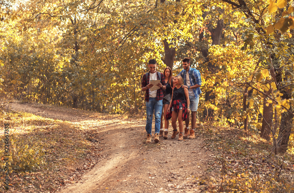 Group of four friends hiking together through a forest. Group of four friends hiking together through a forest.