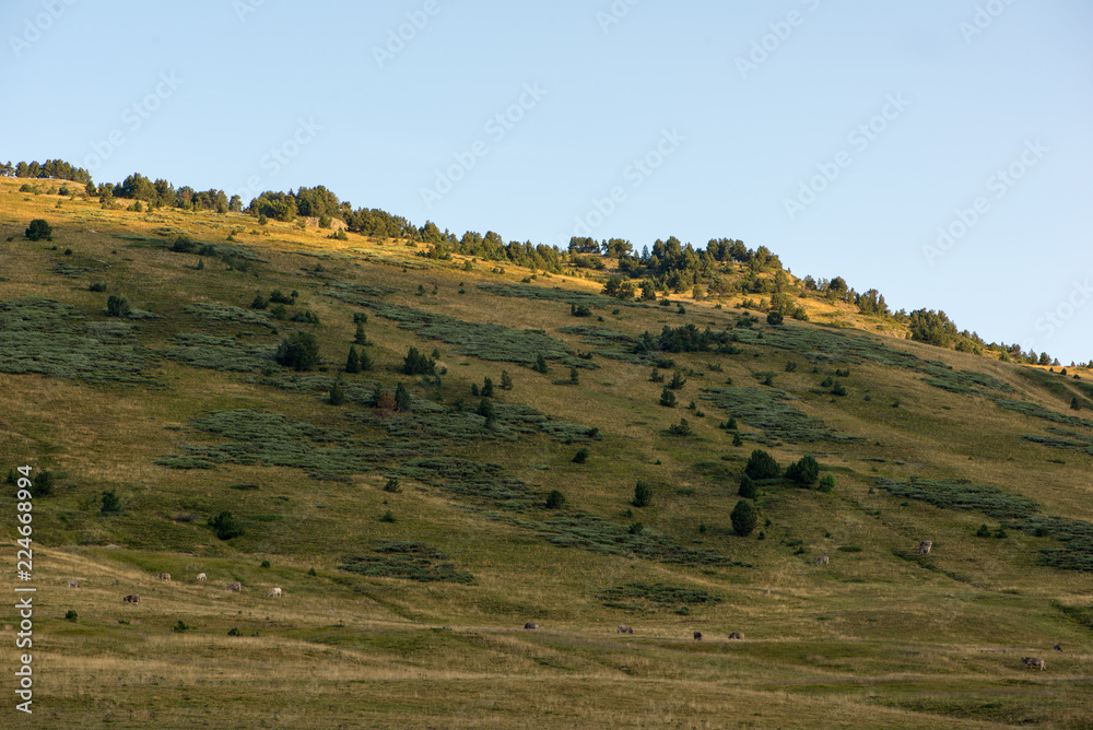 Fototapeta premium Mountains in Baqueira in Summer, Valle de Aran