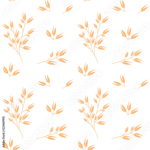 Oat pattern vector. Cereal plants. Oatmeal packaging design.