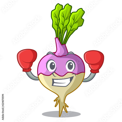 Boxing cartoon rutabaga root on the garden