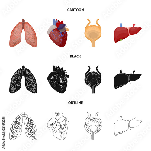 Vector design of body and human logo. Collection of body and medical stock symbol for web.