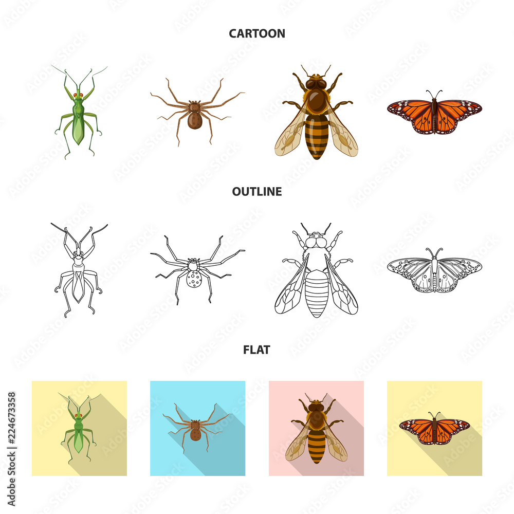 Vector design of insect and fly sign. Set of insect and element vector icon for stock. Vector design of insect and fly sign. Set of insect and element vector icon for stock.