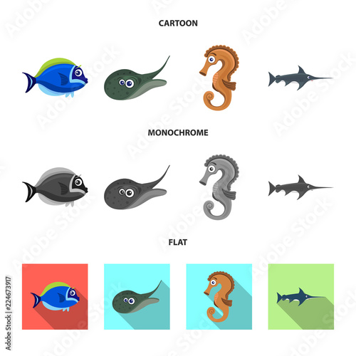 Isolated object of sea and animal symbol. Collection of sea and marine stock vector illustration.