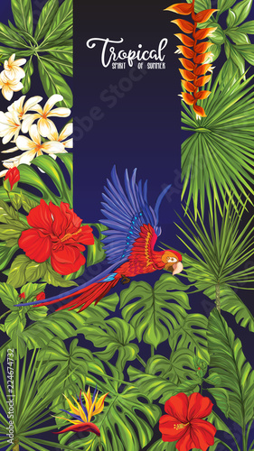 Tropical plants and parrot