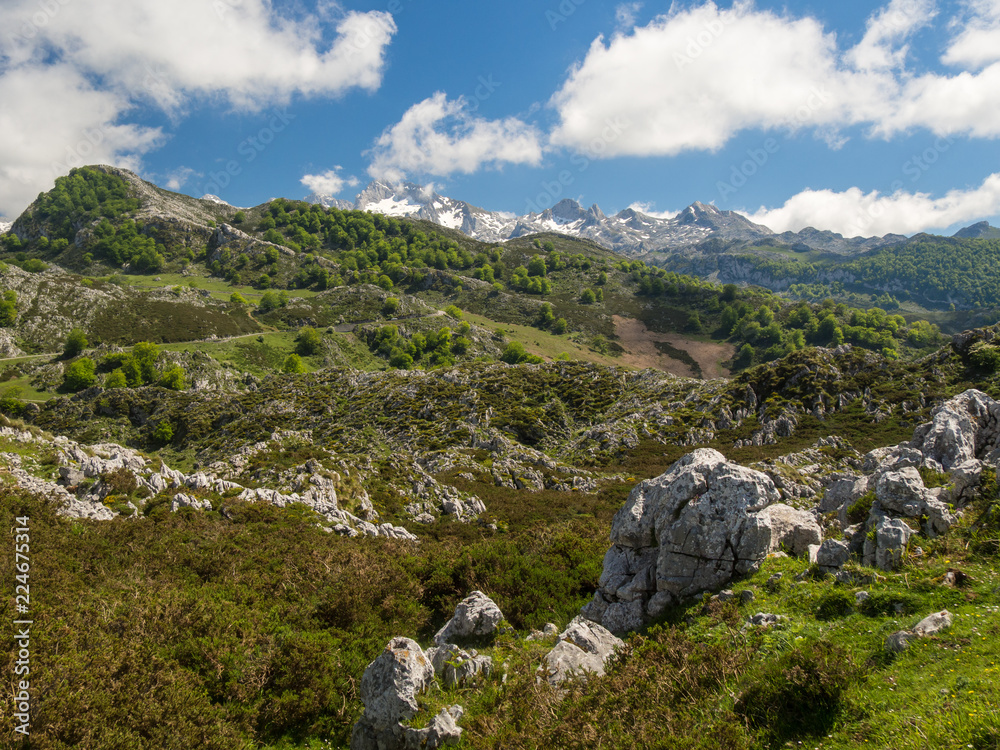 Landscape of the Picos de Europa in Asturias