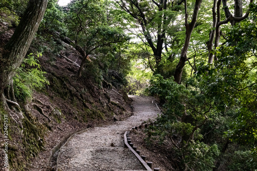 mountain hill path