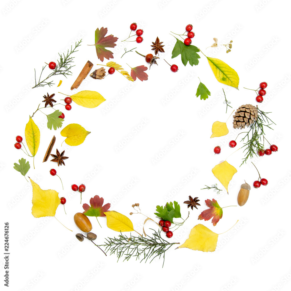 Fototapeta premium Autumn composition. Wreath made of autumn flowers and leaves on white isolated background. Top view, copy space,flat lay