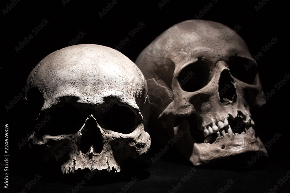 Obraz premium Human skulls on a black background. Drama concept. Selective focus