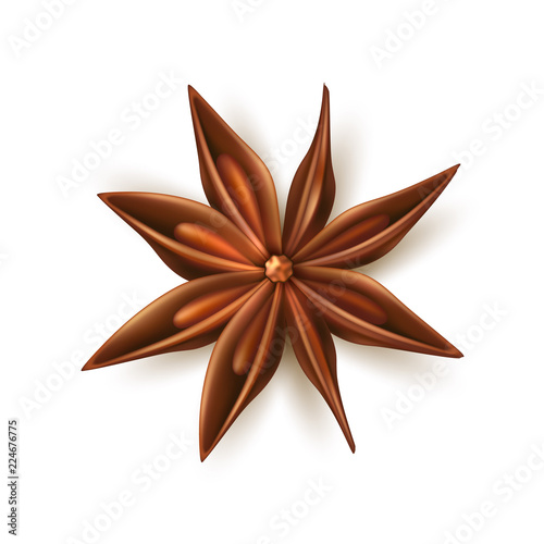 Realistic dried anise star vector with pits