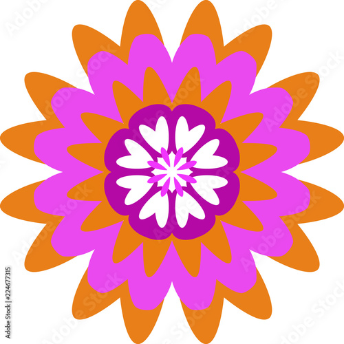 patterns graphic floral abstract