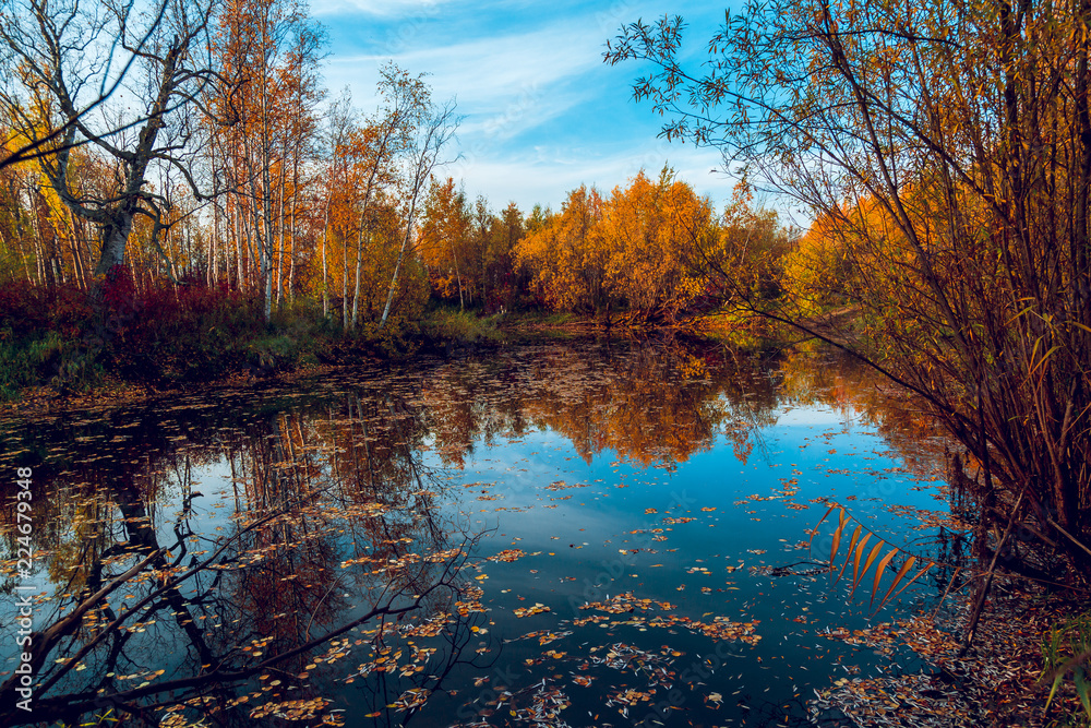 Obraz premium Autumn natural landscape near the forest river