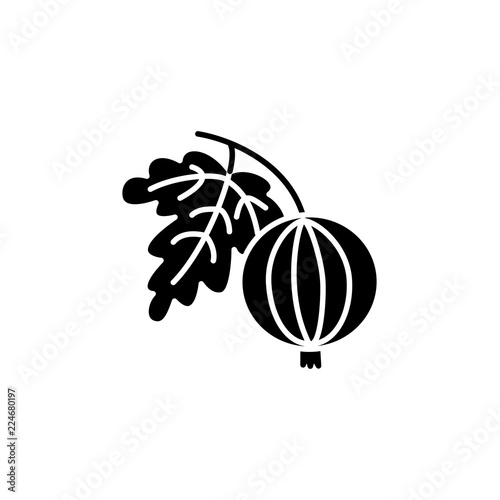 Black & white vector illustration of organic gooseberry with leaf. Flat icon of fresh berry. Vegan & vegetarian food. Health eating ingredient. Isolated object