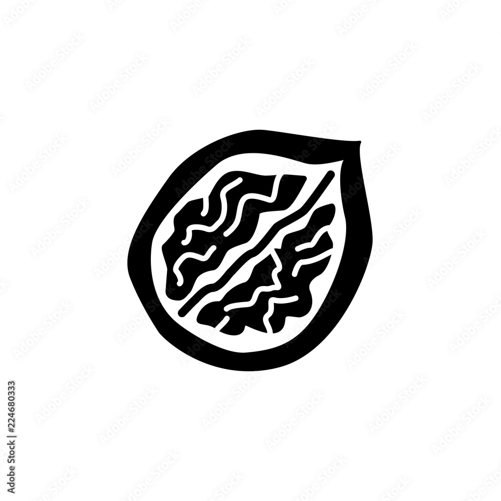 Black & white vector illustration of half walnut with shell. Flat icon of cut nut with kernel. Vegan & vegetarian food. Health eating ingredient. Isolated object Black & white vector illustration of half walnut with shell. Flat icon of cut nut with kernel. Vegan & vegetarian food. Health eating ingredient. Isolated object