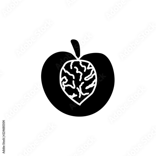 Black & white vector illustration of cut peach with seed. Flat icon of fresh nectarine fruit. Vegan & vegetarian food. Health eating ingredient. Isolated object
