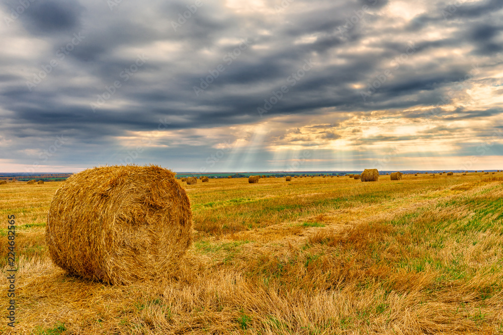 Picturesque autumn landscape with beveled field and straw bales.