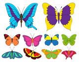 vector, isolated, set of multicolored butterflies