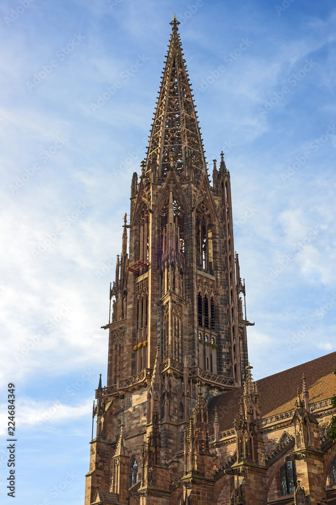 Fototapeta premium Freiburger Münster