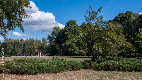 Trees and gardens at South Park in city of Sofia  Bulgaria