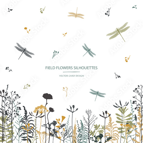 Vector silhouettes collection. Set of field flowers, herbs and dragonflies. Card design. Label design.