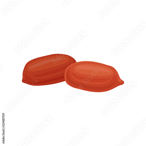 Whole ripe brown peanuts vector Illustration on a white background