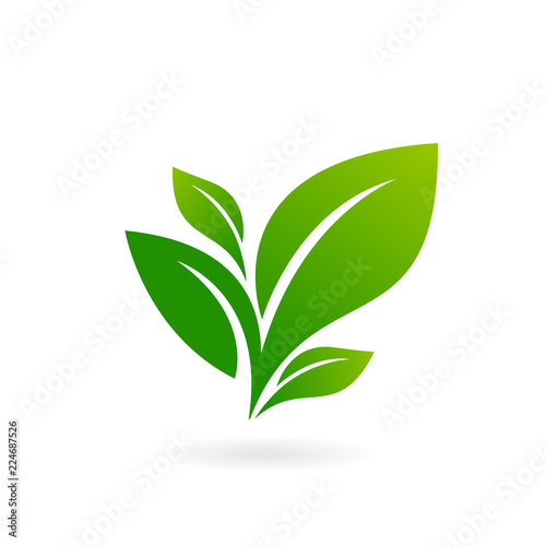 Logo of green leaf ecology nature element vector icon.