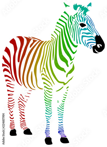 Regenbogen Zebra