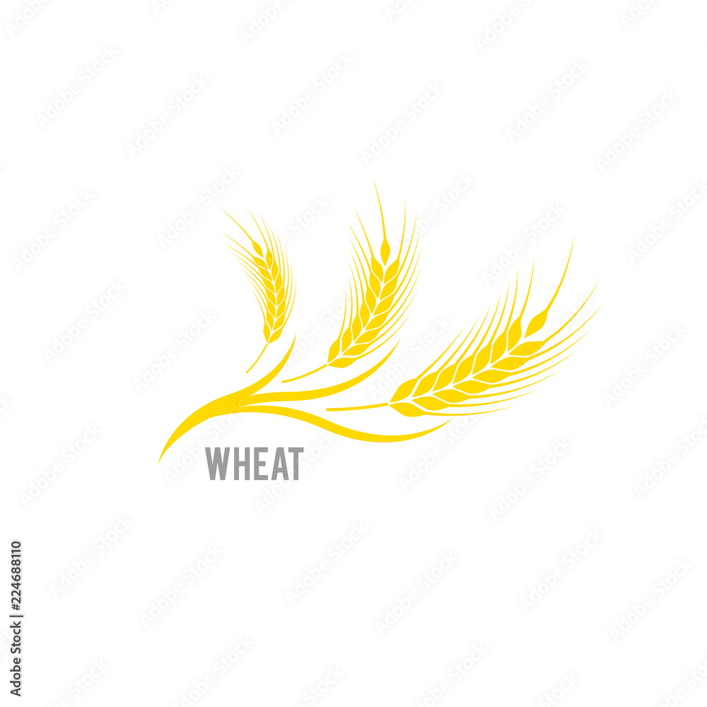 Cereals icon. Vector logo design and elements of wheat grain, wheat ears, wheat seed, or wheat rye. Cereals icon. Vector logo design and elements of wheat grain, wheat ears, wheat seed, or wheat rye.