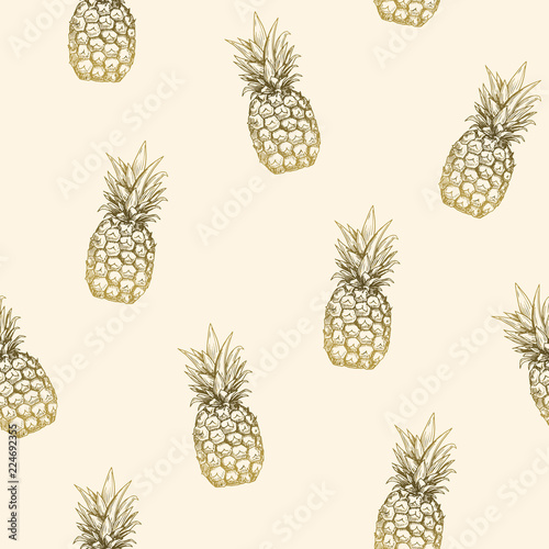Vector illustration. Cold style pineapple sketch. Element of seamless pattern.