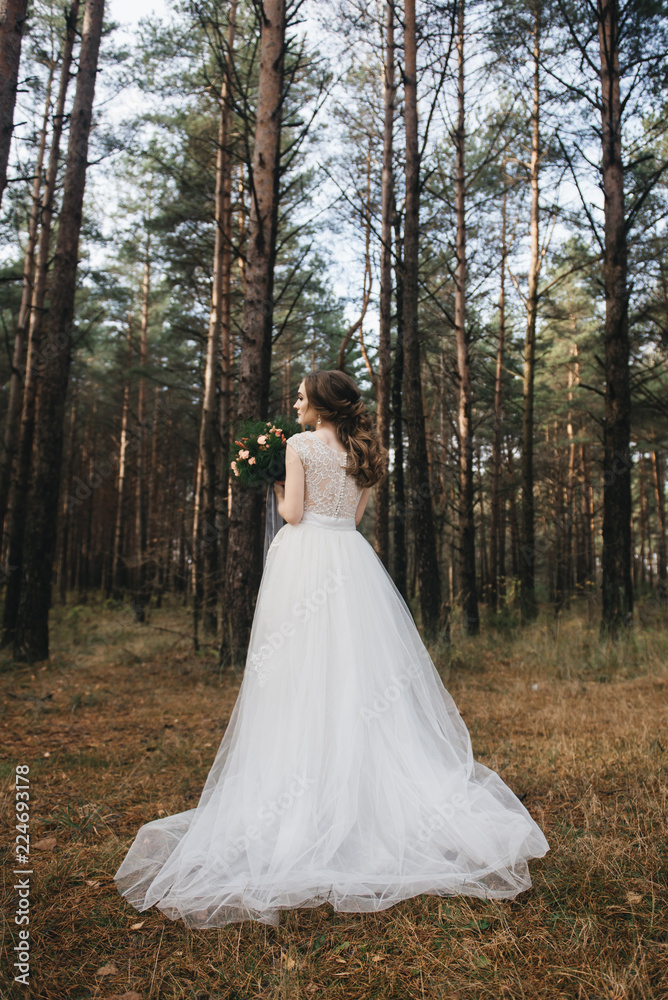 Beautiful bride in fashion wedding dress on natural background.The stunning young bride is incredibly happy. Wedding day. .A beautiful bride portrait in the forest. Beautiful bride in fashion wedding dress on natural background.The stunning young bride is incredibly happy. Wedding day. .A beautiful bride portrait in the forest.