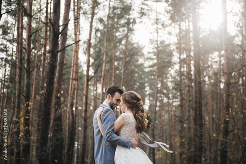 Happy bride and groom in the forest .  Autumn. The concept of a Rustic wedding style