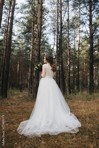 Beautiful bride in fashion wedding dress on natural background.The stunning young bride is incredibly happy. Wedding day. .A beautiful bride portrait in the forest.
