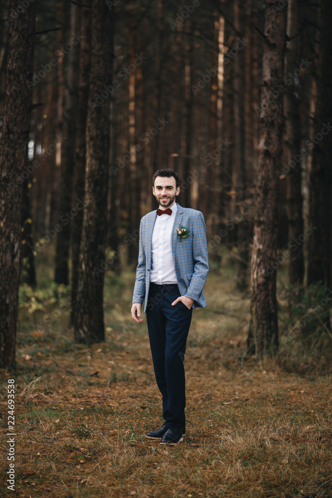 The portrait of attractive groom in a suit and bow tie with boutonniere or buttonhole on jacket, is standing against the background of the forest at nature.