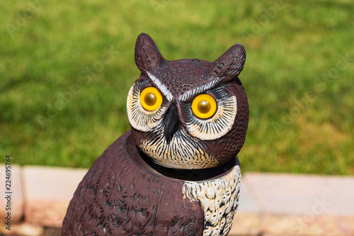 Slika na platnu this owl has kept a close eye on the garden all summer