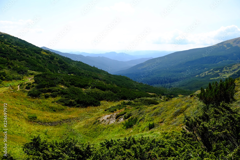 beautiful mountain landscape, summer Carpathians