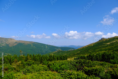 beautiful mountain landscape, Mount Vuhaty Kamen, summer Carpathians