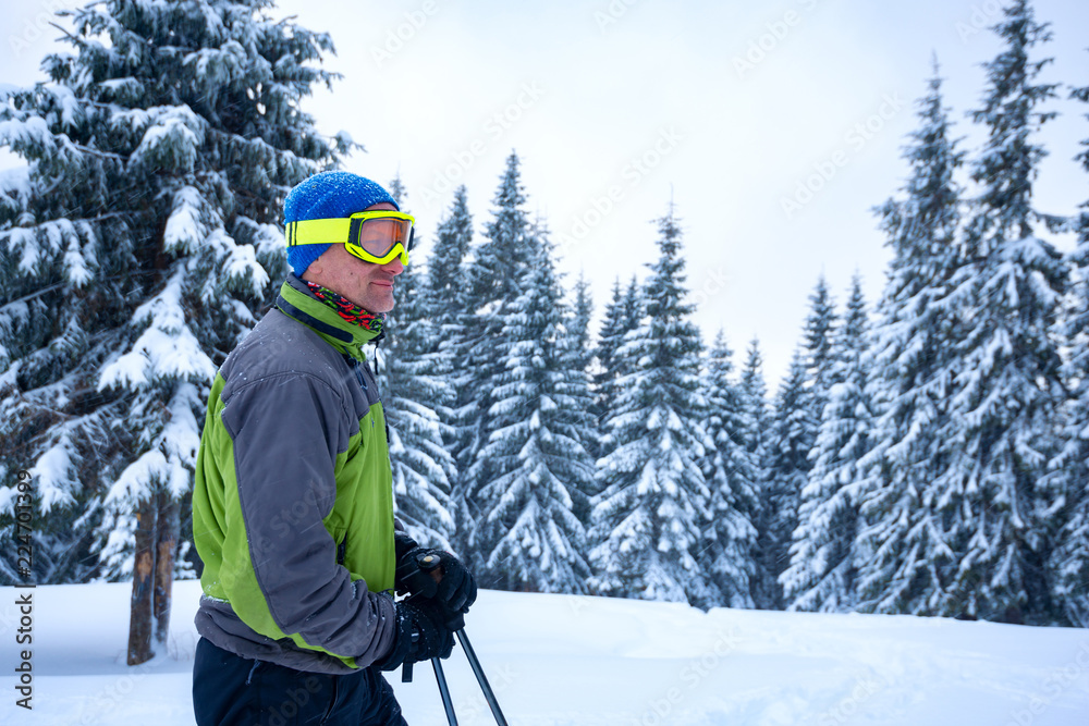 Smiling adventurer stands among huge pine trees