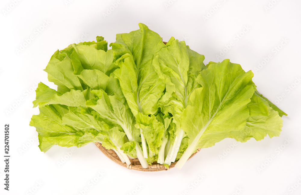 Lovely and healthy vagetables (Chinese cabbage or Bok-choy) in white background Lovely and healthy vagetables (Chinese cabbage or Bok-choy) in white background