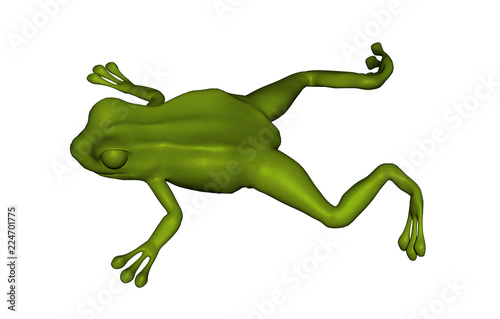 Grüner Laubfrosch