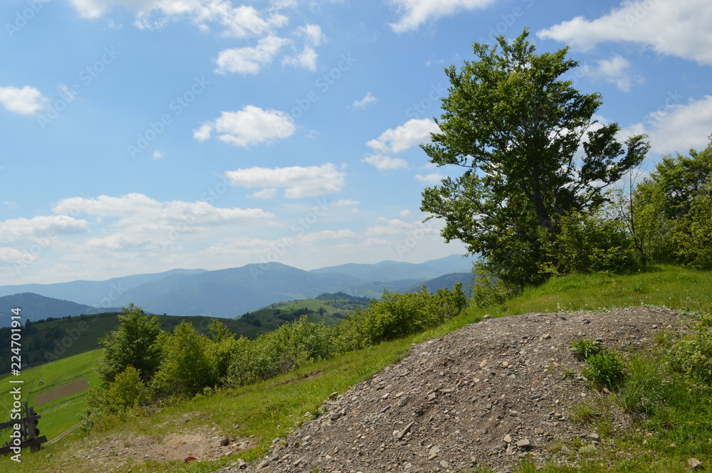 Obraz premium Transcarpathia. Sinevir Pass