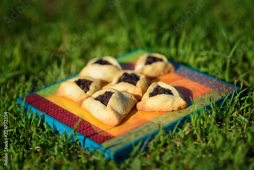 Spring picnic on the grass with homemade cookies on wooden board. Hamantaschen cookies or hamans ears for Purim celebration.Hamantaschen are sweet triangular pastries with a filling eaten on Purim. photo