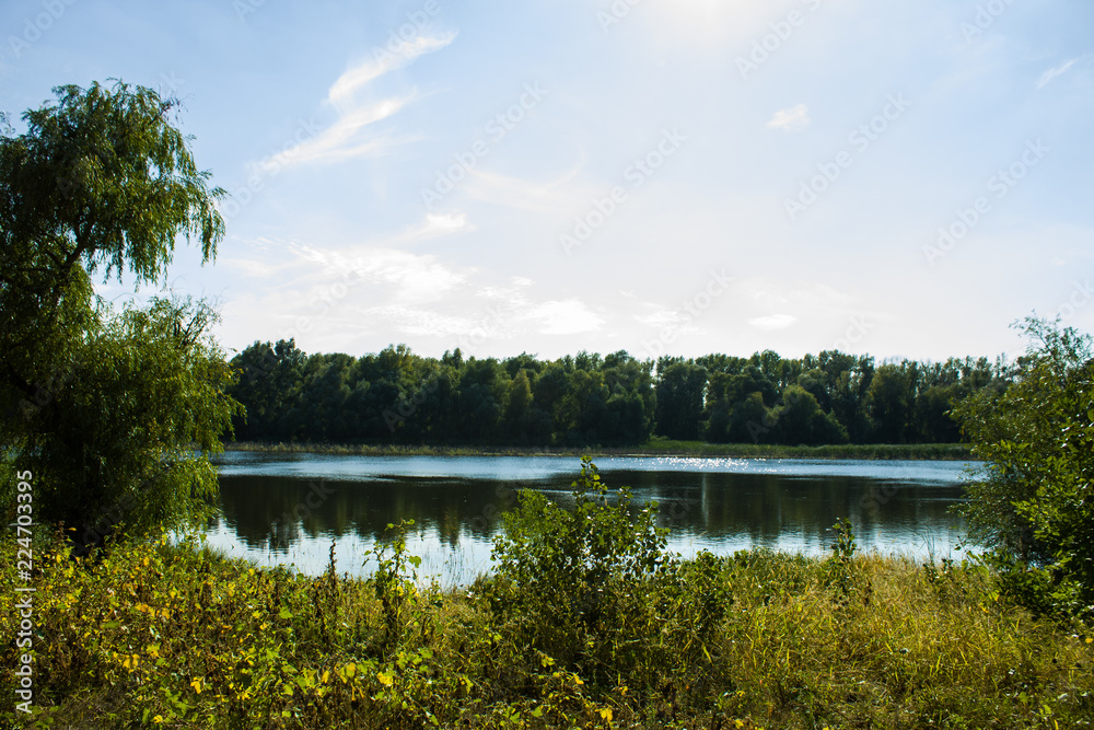 Obraz premium the reflection in the water