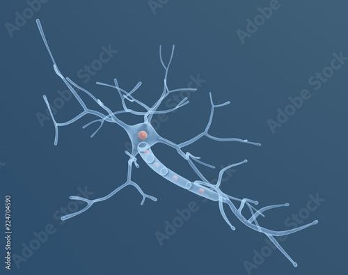 Nervenzellen im Körper