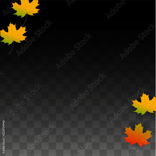 September Vector Background with Golden Falling Leaves. Autumn Illustration with Maple Red, Orange, Yellow Foliage. Isolated Leaf on Transparent Background. Bright Swirl. Suitable for Posters.