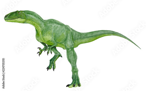 恐竜　フクイラプトル。白亜紀前期の日本の地層から発見された。当初前脚の大きな鉤爪をヴェロキラプトルやディーノニクスのようなドロマエオサウルス科の肉食恐竜と考えられていたが、近年はその体格の大きさからメガラプトル類ではないかといわれている。発見された骨格は少ないが、まだ成長過程にある骨格であり、4.2メートルという推定よりもかなり大きかった可能性もある。イラスト画像。 © Mineo