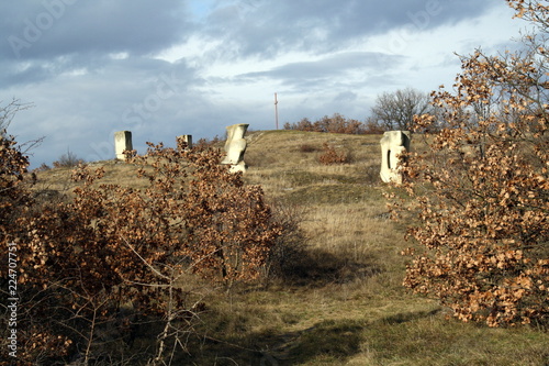 Rust